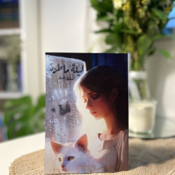 ليلة ماطرة