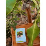 حديث الصباح