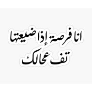 أنا فرصة لو ضيعتها تف على حالك