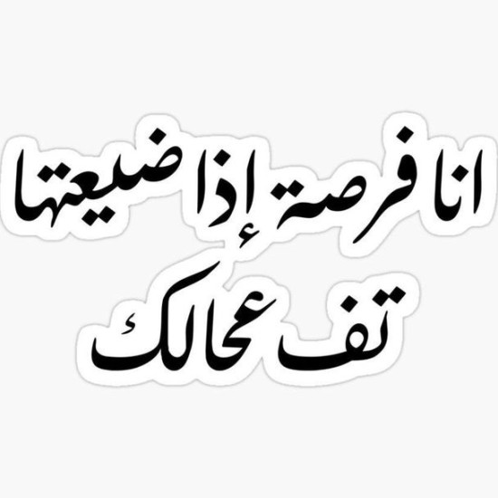 أنا فرصة لو ضيعتها تف على حالك