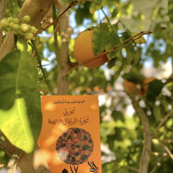 شجرتي شجرة البرتقال الرائعة