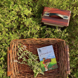 السلام عليك ياصاحبي