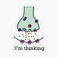 I’m thinking 